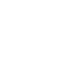 L'impresa e l'Europa